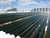 Rows of algae cultivation tubes under a blue sky, showcasing the large-scale algae production facility.