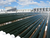 The Global Impact of the Algae Industry