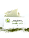 Phytoplankton Infused Soap 4oz, artisan soap with nutrients for skin vitality and radiance.