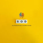 What is Superoxide Dismutase (SOD)?